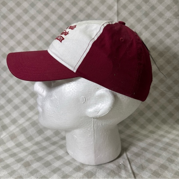 The Office Dwight Schrute Farms Beets Dad Hat Officially Licensed Adjustable - Picture 4 of 8